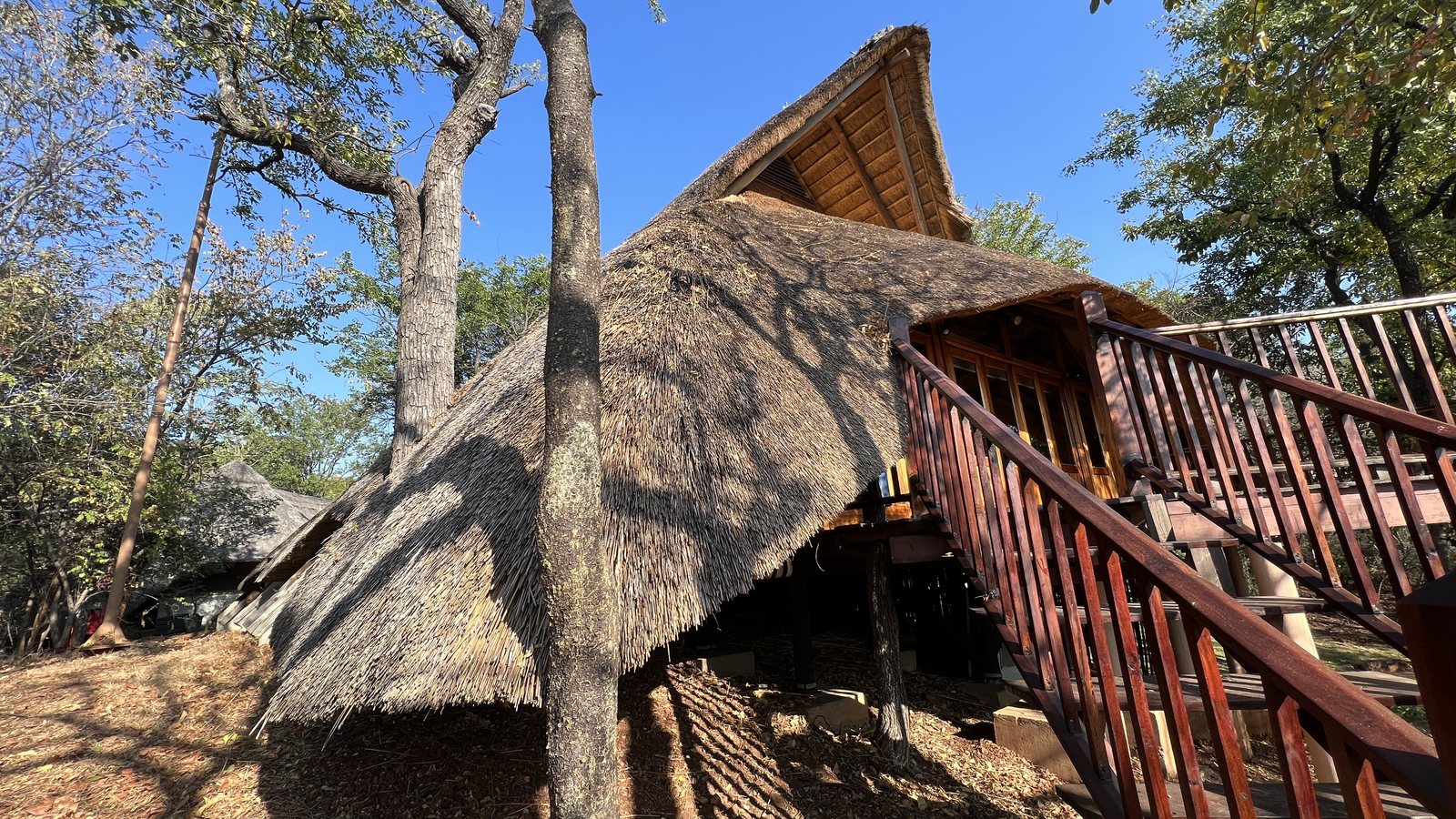 Thatched safari lodge chalet